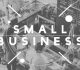 Starting Up Small Businesses